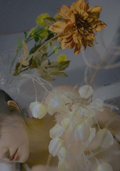 av女优天堂在线观看_4K免费观看最新